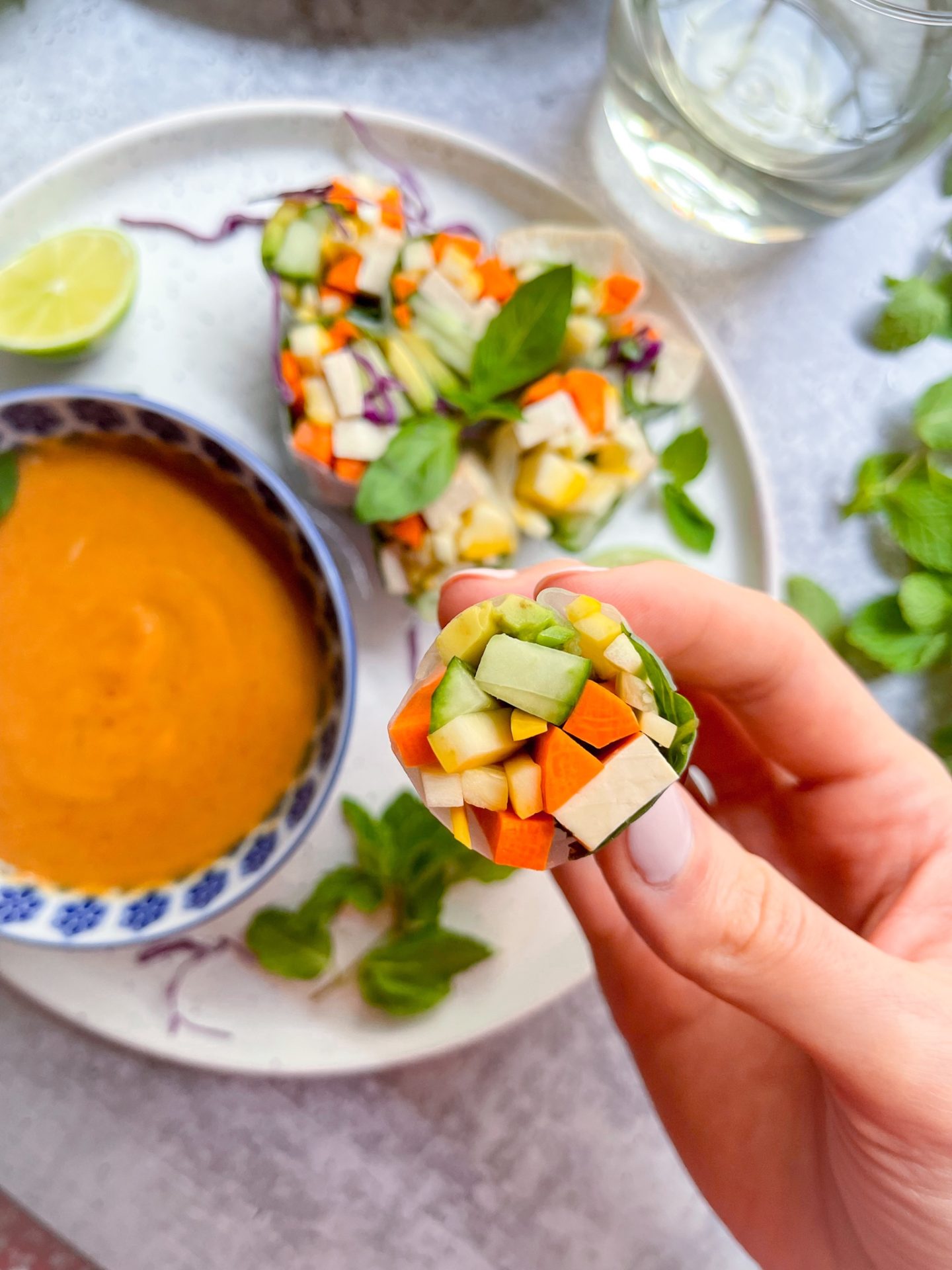 summer rolls and peanut sauce on a while plate