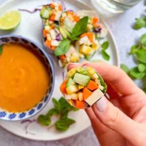 summer rolls and peanut sauce on a while plate