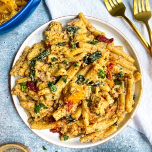 pasta, sun dried tomatoes, kale and pan seared tofu with dairy free cashew cream sauce