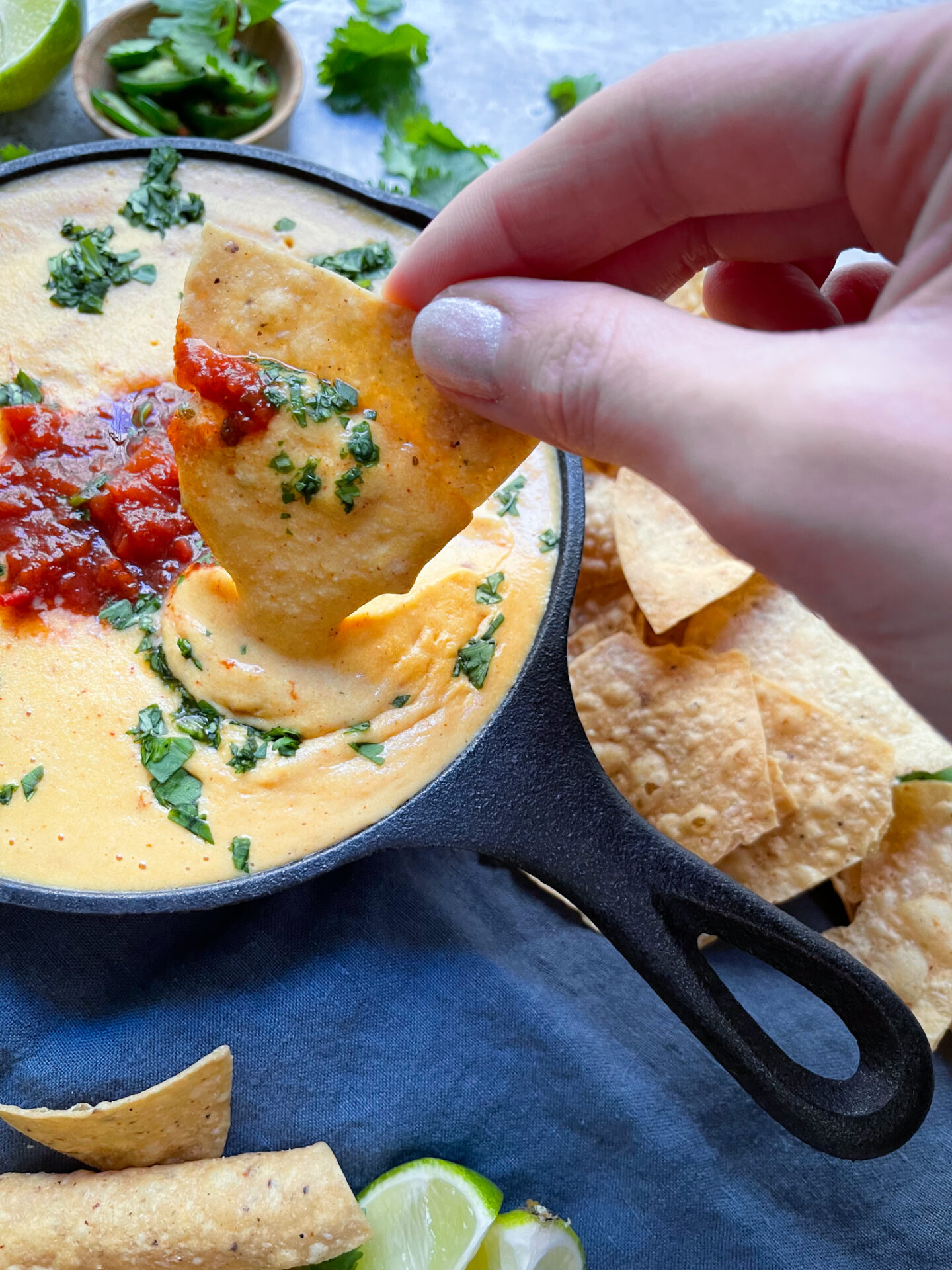 Plant Based Queso Dip